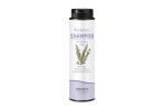 Σαμπουάν για Κανονικά Μαλλιά Shampoo Rosemary Panacea Natural Products 200ml